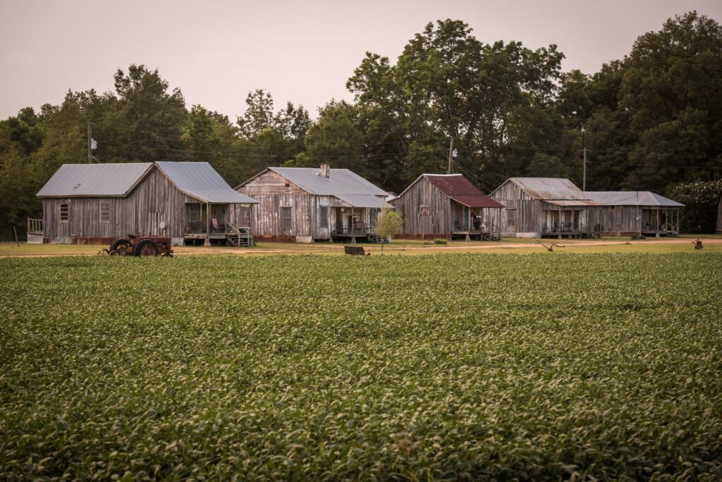 Tallahatchie Flats picnic